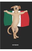 Notebook: Dotted Lined Golden Retriever Mexican Flag Cinco De Mayo Notebook (6x9 inches) ideal as a Mexican 5th of May Journal. Perfect as a Mexican Themed Pa