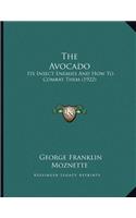 Avocado
