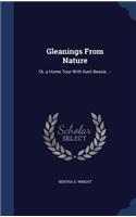 Gleanings From Nature