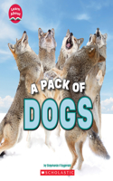 Pack of Dogs (Learn About: Animals)