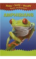 Amphibians