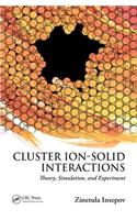 Cluster Ion-Solid Interactions