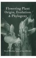 Flowering Plant Origin, Evolution & Phylogeny