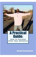 Practical Guide