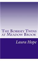 The Bobbsey Twins at Meadow Brook