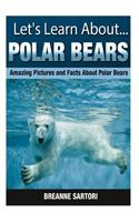 Polar Bears: Amazing Pictures and Facts about Polar Bears