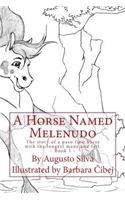 A Horse Named Melenudo