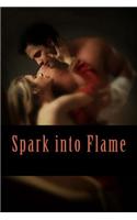 Spark Into Flame