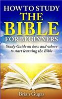 How to Study the Bible for Beginners