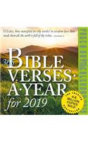 2019 365 Bible Verses a Year Colour Page-A-Day Calendar