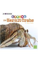 Caring for Hermit Crabs