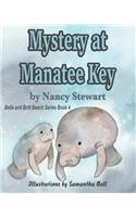 Mystery at Manatee Key