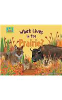 What Lives in the Prairie?