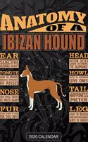 Anatomy Of A Ibizan Hound: Ibizan Hound 2020 Calendar - Customized Gift For Ibizan Hound Dog Owner
