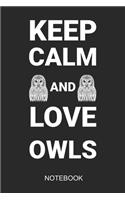 Keep Calm And Love Owls Notebook