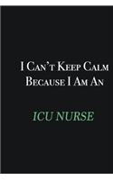 I cant Keep Calm because I am an ICU nurse: Writing careers journals and notebook. A way towards enhancement