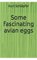 Some fascinating avian eggs