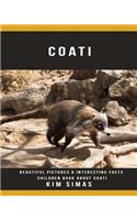 Coati