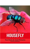 Housefly: Fun Facts & Cool Pictures