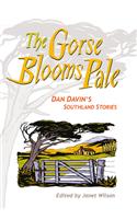 Gorse Blooms Pale