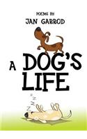 Dog's Life, Poetry by Jan Garrod