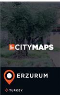 City Maps Erzurum Turkey
