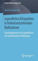 Jugendliches Alltagsleben in freiheitsentziehenden Maßnahmen: Erziehungsprozesse bei Jugendlichen mit multikomplexen Risikolagen(16 Kasseler Edition Soziale Arbeit)