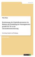 Bestimmung des Kapitalkostensatzes im Rahmen der Ermittlung des Nutzungswertes gemäß IAS 36 in der Literaturkommentierung