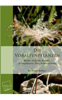 Voralpenpflanzen