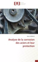 Analyse de la corrosion des aciers et leur protection