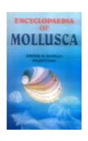 Encyclopaedia of Mollusca