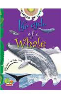 Life Cycle of a Whale: Key stage 1: (Circle of Life)