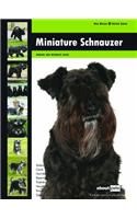 Miniature Schnauzer
