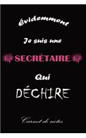 Je Suis une Secrétaire qui Déchire: Papier blanc ligné -120 pages- Cadeau d'anniversaire original, idéal pour une Femme, Amie secrétaire et Collègue.
