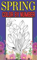 Spring Color By Number: A Large Print and Easy Color by Number Adult Coloring Book of Spring Flowers, Birds, Butterflies, Bunnies and Frogs. (Simple, relaxing illustrations