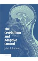 Cerebellum and Adaptive Control