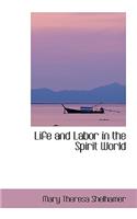 Life and Labor in the Spirit World