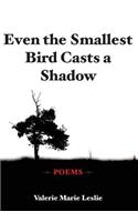 Even the Smallest Bird Casts a Shadow