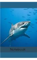 Notebook: 6" X 9" 150 page college lined soft covered journal, notebook, diary with " gray white shark " on a matte cover