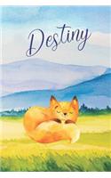 Destiny