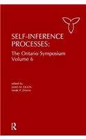 Self-Inference Processes