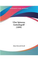Uber Spinozas Gottesbegriff (1899)