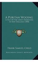 A Puritan Wooing: A Tale Of The Great Awakening In New England (1898)(English)