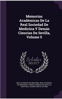 Memorias Académicas De La Real Sociedad De Medicina Y Demás Ciencias De Sevilla, Volume 5