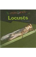 Locusts