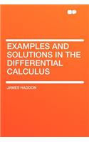 Examples and Solutions in the Differential Calculus