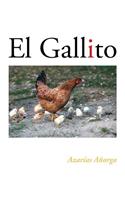 Gallito