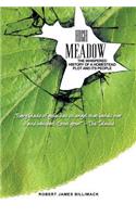 High Meadow: The Whispered History of a Homestead Plot and Its People
