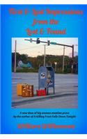 First & Last Impressions from the Lost & Found