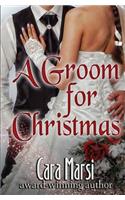 Groom for Christmas